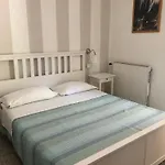 Il Delfino