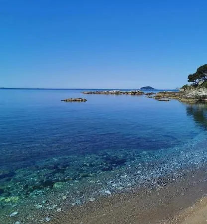 בית הארחה Il Delfino טלארו