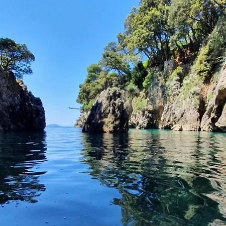 בית הארחה Il Delfino *