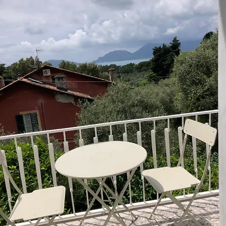 Il Delfino * טלארו