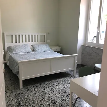 Il Delfino * טלארו