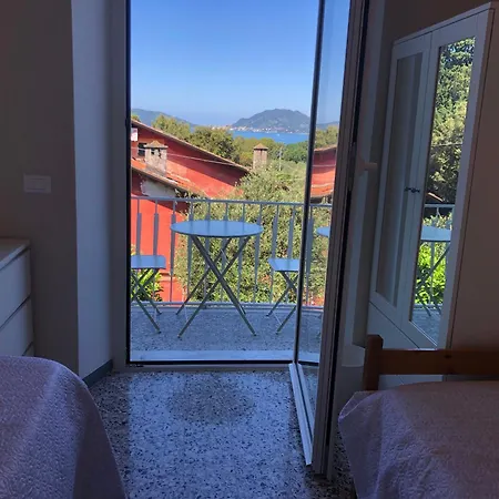 Il Delfino * טלארו