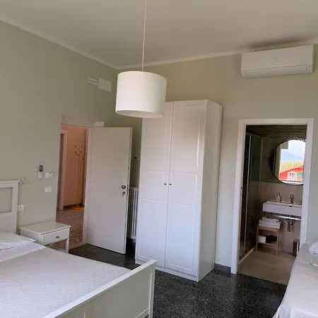 Il Delfino טלארו