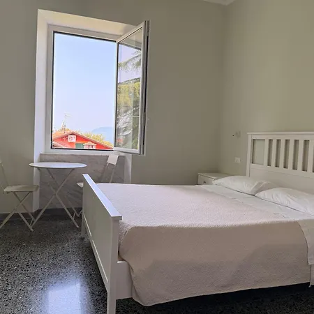 Il Delfino * טלארו