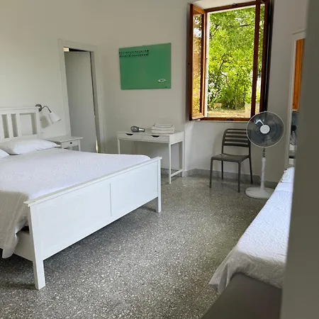 בית הארחה Il Delfino *