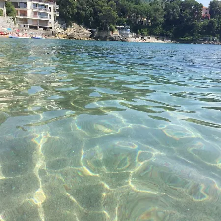 Il Delfino * טלארו