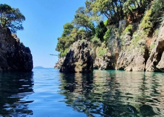 Pensión Il Delfino *