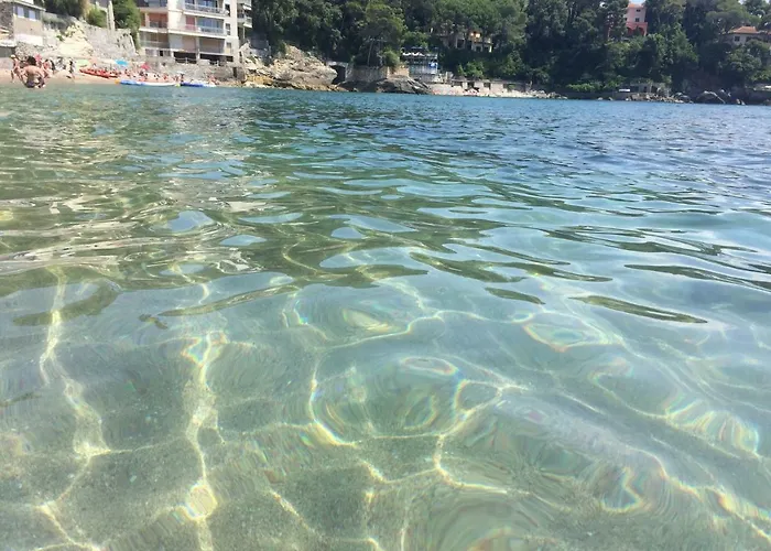 Il Delfino * Tellaro