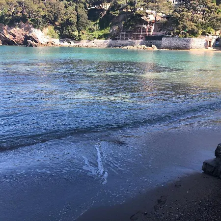 Affittacamere Il Delfino *