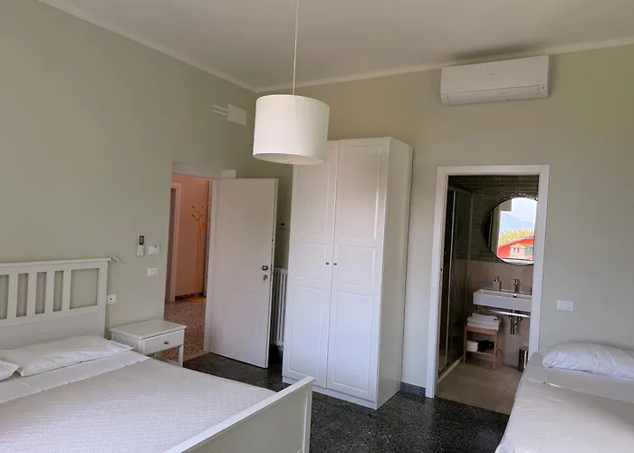 Il Delfino טלארו